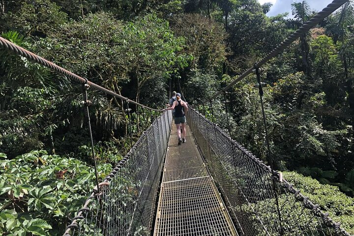2-Hour Private Místico Hanging Bridges Naturalist Walk - Photo 1 of 14